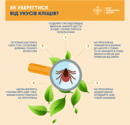 Як вберегтися від кліщів?