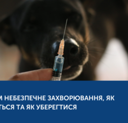 СКАЗ: ЧИМ НЕБЕЗПЕЧНЕ ЗАХВОРЮВАННЯ, ЯК ПЕРЕДАЄТЬСЯ ТА ЯК УБЕРЕГТИСЯ