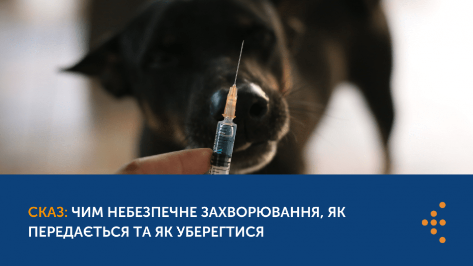 СКАЗ: ЧИМ НЕБЕЗПЕЧНЕ ЗАХВОРЮВАННЯ, ЯК ПЕРЕДАЄТЬСЯ ТА ЯК УБЕРЕГТИСЯ